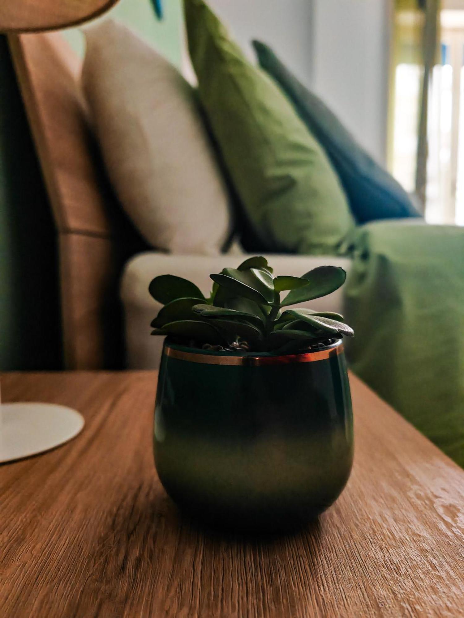 Ament'S B&B Syracuse Buitenkant foto